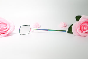 Large lash Mirror